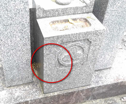 ミツバチの巣駆除お墓カロート